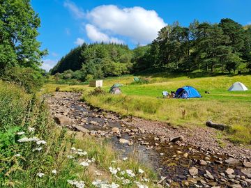 Camp field