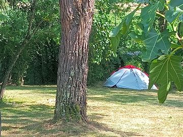 Pitches among the trees