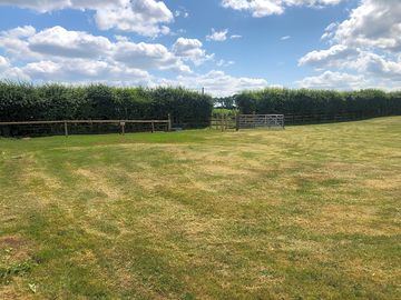 Grass pitches