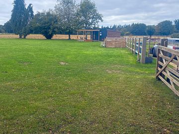 Field and salon
