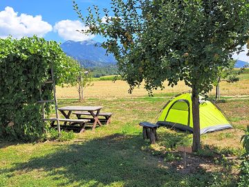 Quiet pitch with mountain views