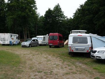 Pitches sheltered by trees