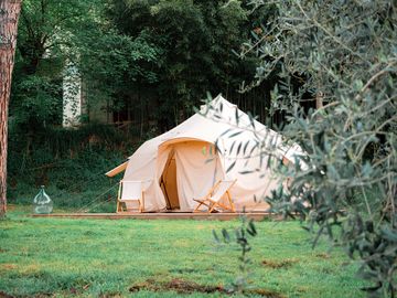 Bell tent surrounded by trees