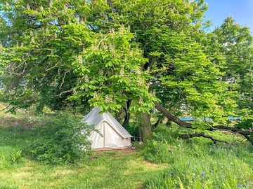 Campers on site