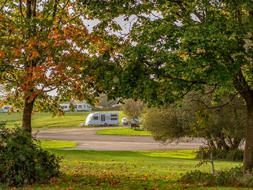 Caravan at holmsley