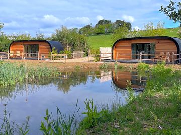 Pond view