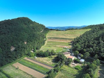 Site