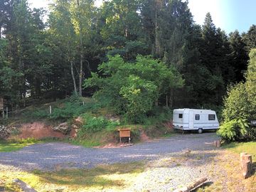 Pitches in the forest