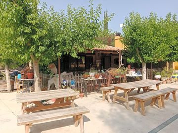 Café-bar