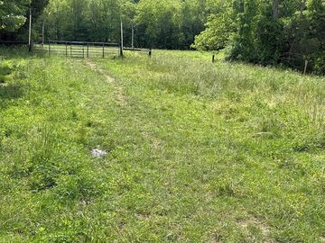 Powered grass site near the pond