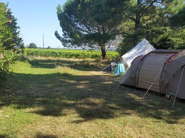 Grass pitches