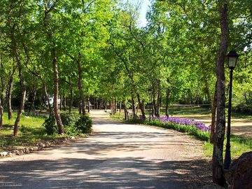 Main path through the site