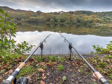 Fishing on site