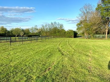Lovely level pitching area for tents