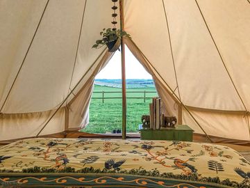 View from tent interior