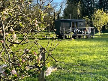 Distance shot of hettie
