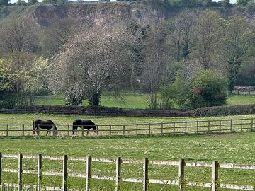 View towards bredon hill and church from site