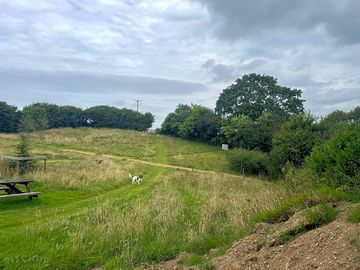 General view of the dog-friendly campsite