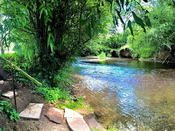 Paddle in the shallow water