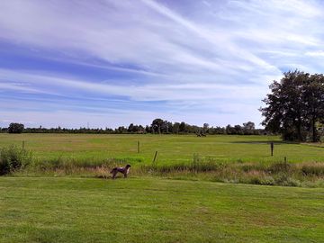 Lovely green views