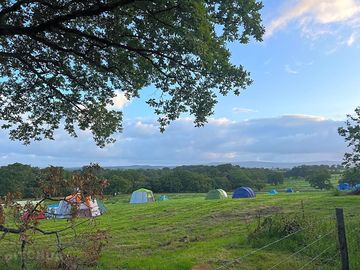 Grass tent pitch