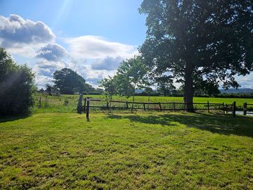 Scenic grass pitch near the pond