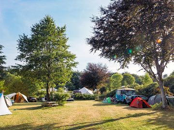 Standard pitches in partial shade