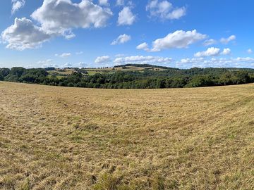 Grass pitches
