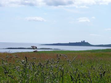 Views of dunstanburgh castle from low newton