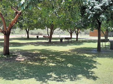 Grass campsite with electrical points