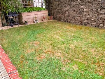 Grass pitch area