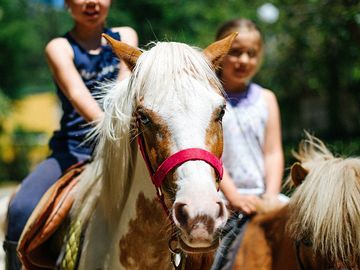 Pony rides