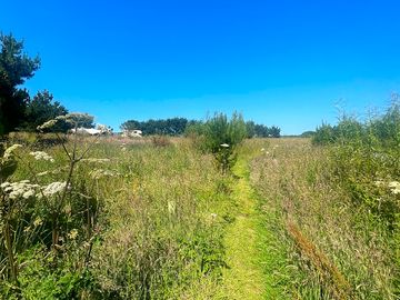 One of the pathways mown around the field, amongst the wild medows.