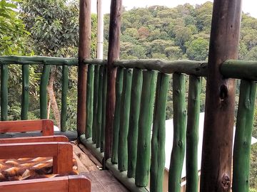 Balcony overlooking the forest