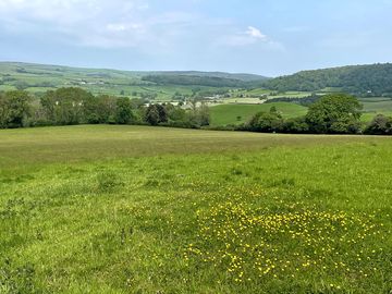 Porlock vale campsite field in may, looking towards grabbist and north hill (added by manager 22 may 2024)