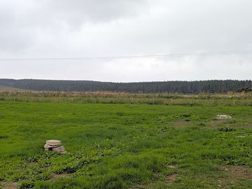 Camping field