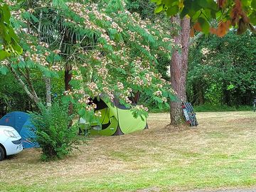 Grass pitches