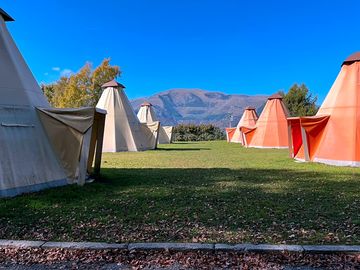 Tipi