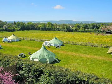 5 belle tents in their own field