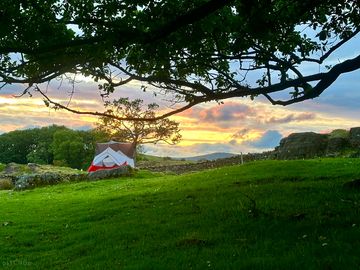 A truly wild campsite