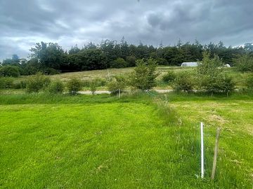 Well-kept grass pitches