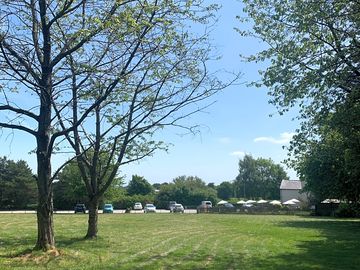 Grass pitches among the trees behind the pub