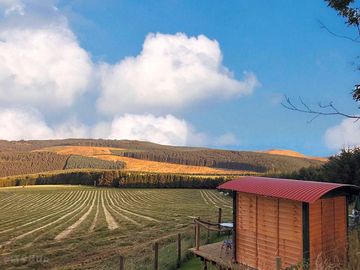 View from the barbecue hut