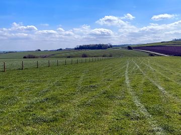 Camp field