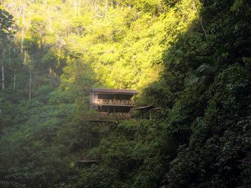 Bungalows in the jungle