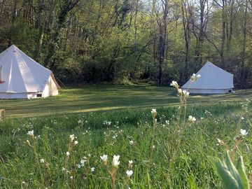 Lots of space around the tents