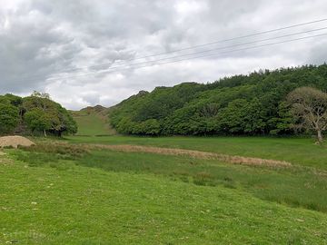 Greenery all around