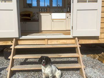 Dogs welcome in the shepherd's hut