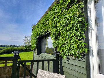 Lush greenery giving a really natural, relaxed feeling to the whole of the property. (added by visitor 20 may 2024)