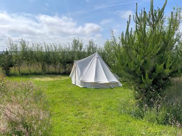 One of our three camping terrace with a guests bell tent.